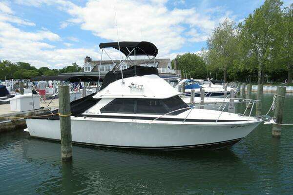 Picture Of: 1978 Bertram 28 Flybridge Cruiser 