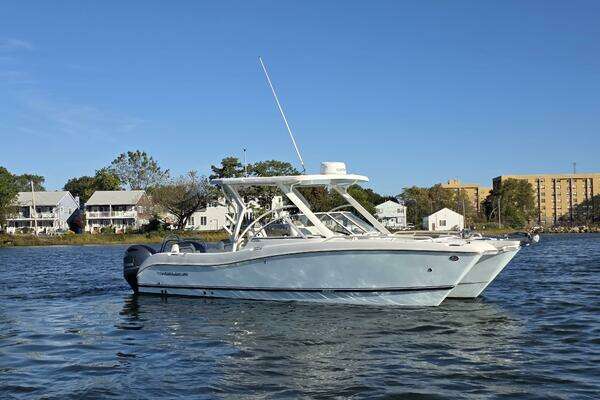 Picture Of: 2022 World Cat  