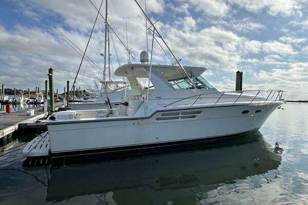 Picture Of: 2001 Tiara Yachts 4300 Open 