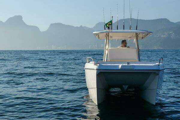 Picture Of: 2025 Garnet Offshore 300 HT 