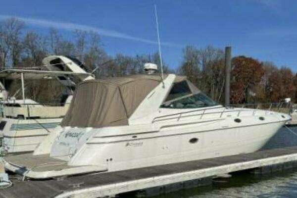 Picture Of: 2001 Cruisers 4270 Amazed