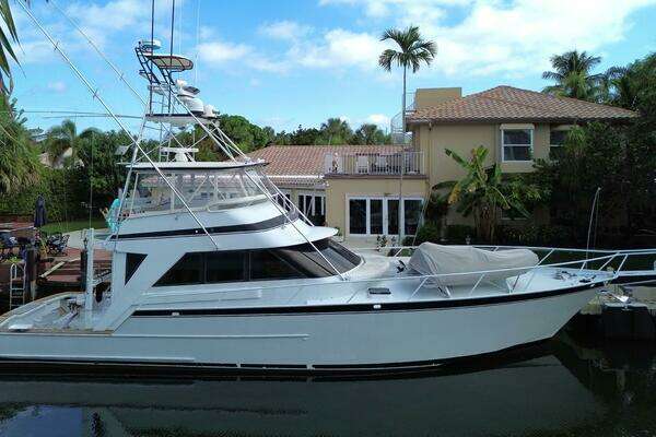 Picture Of: 1989 Striker 62 Convertible ELSKA 