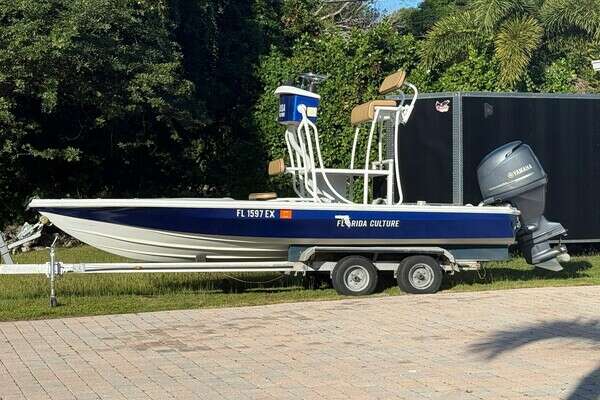 Picture Of: 1986 Dolphin 18 Skiff 