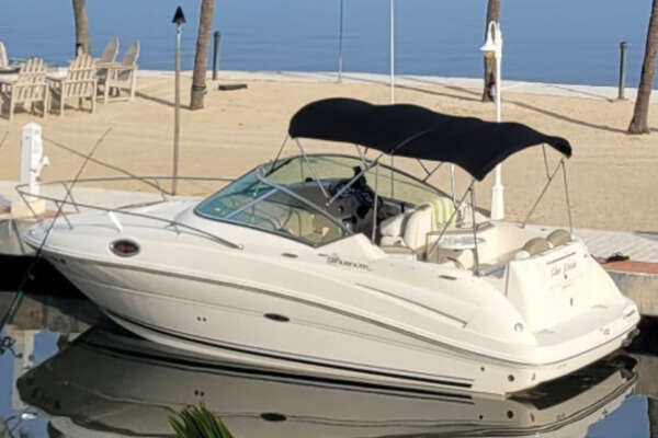 Picture Of: 2007 Sea Ray 240 Sundancer 