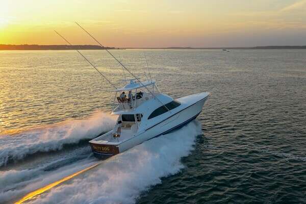Picture Of: 2023 Viking 54 Convertible SALTY DOG