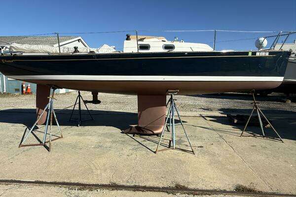 Picture Of: 2021 Tartan  