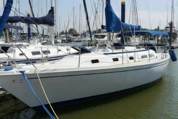 Picture Of: 1986 Ericson 35 MKII Allegre