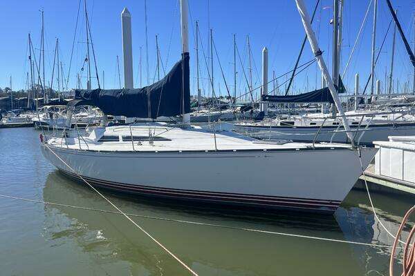 Picture Of: 1999 C&C 110 Amie