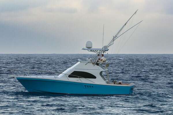 Picture Of: 2001 Black Watch  Beast Mode