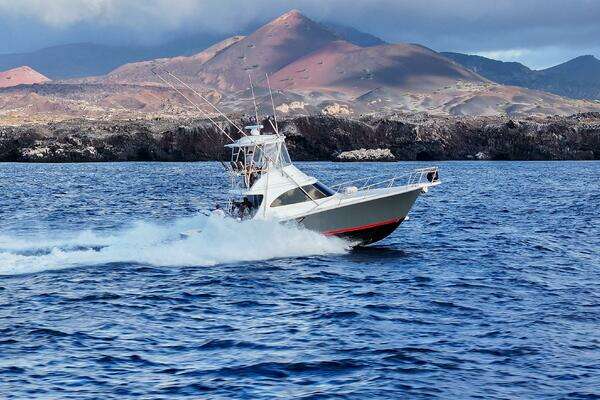 Picture Of: 2025 Viking 38 Billfish BAD COMPANY