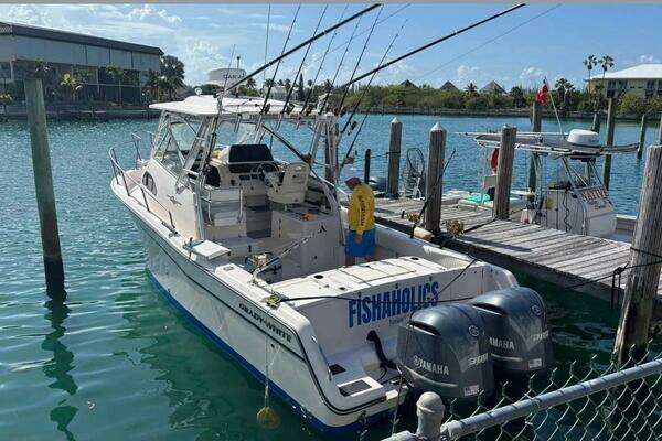 Picture Of: 2007 Grady-White Marlin 300 Fishaholics