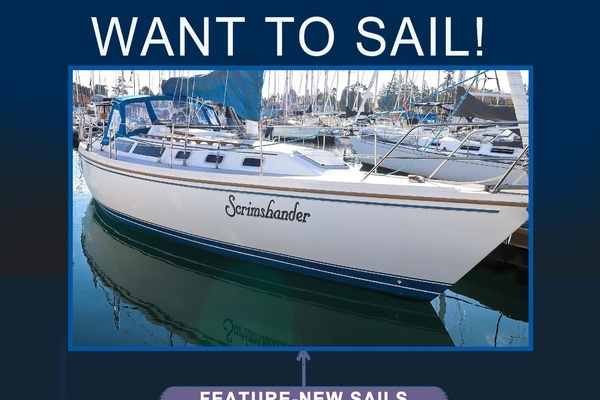 Picture Of: 1987 Catalina 34 Scrimshander