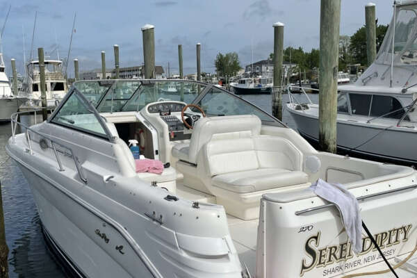 Picture Of: 1996 Sea Ray 270 Sundancer Serendipity