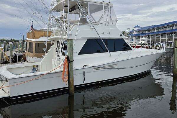 Picture Of: 1989 Viking 45 Convertible Wild Life