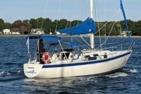 Picture Of: 1982 San Juan  Low Rider