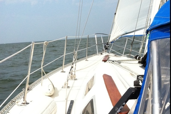 Picture Of: 1982 San Juan  Low Rider