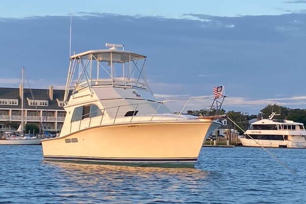 Picture Of: 1988 Pacemaker 36 Convertible GONE GIRL