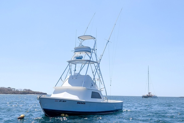 Picture Of: 1973 Bertram Sportfisher Bachata