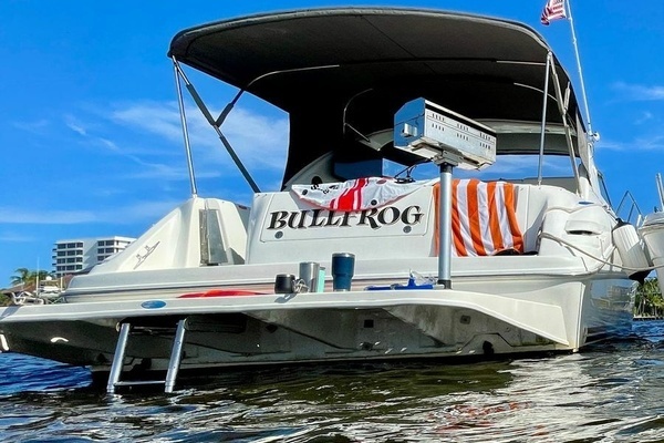 Picture Of: 1995 Sea Ray  Bullfrog