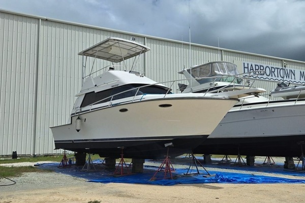 Picture Of: 1990 Luhrs  HOOKED