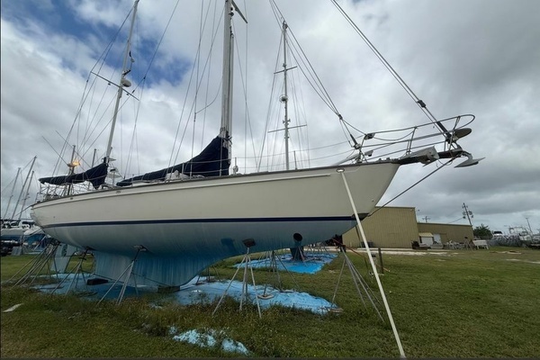 Picture Of: 1981 Shannon  LaMeghan