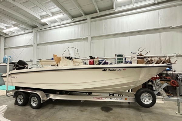 Picture Of: 2024 Boston Whaler 250 Dauntless 