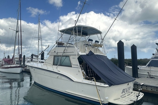 Picture Of: 1981 Hatteras 43 Convertible Bugsy