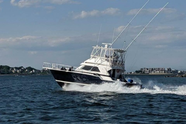 Picture Of: 1995 Bertram  Pair of Jacks