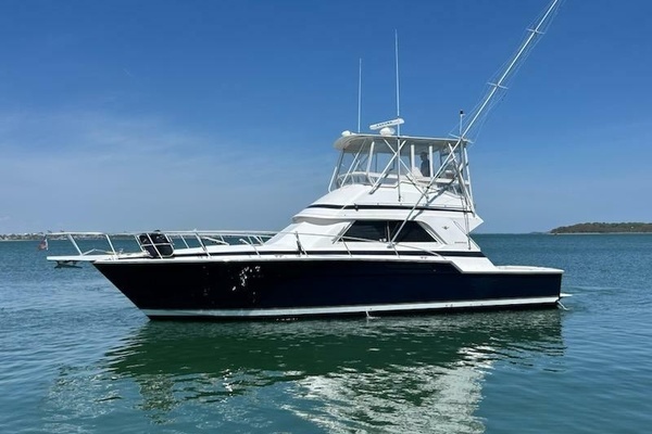 Picture Of: 1995 Bertram  Pair of Jacks