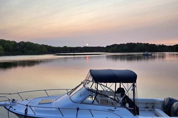 Picture Of: 2004 Grady-White  