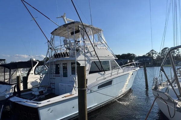 Picture Of: 1981 Hatteras 43 Convertible 