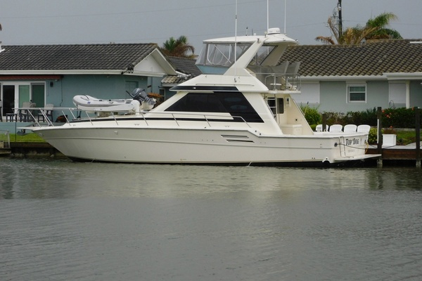 Picture Of: 1987 Sea Ray 460 Convertible Top Dog