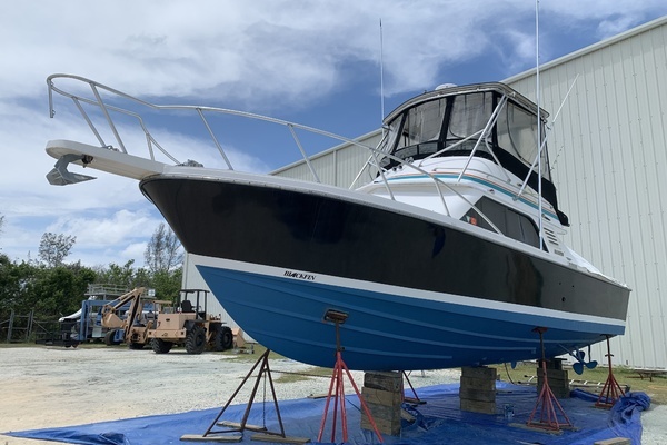 Picture Of: 1991 Blackfin  
