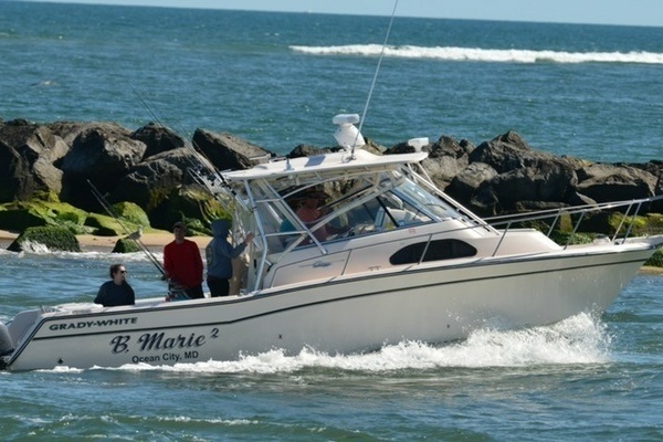Picture Of: 2006 Grady-White Marlin B MARIE 2