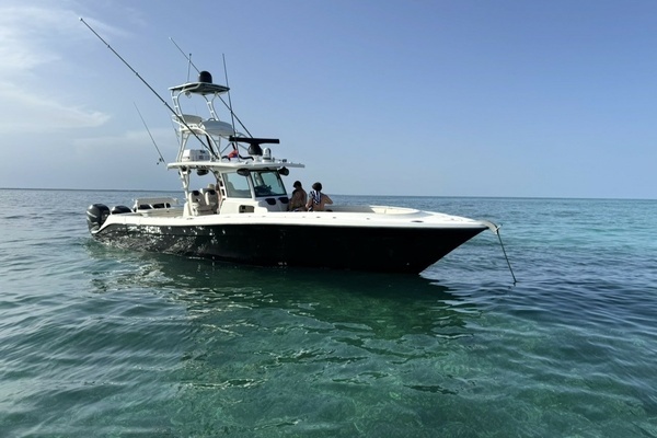 Picture Of: 2017 HCB 3900 Speciale 