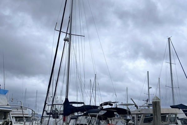 Picture Of: 1997 Island Packet 37 