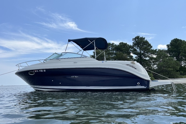 Picture Of: 2007 Sea Ray 250 Amberjack 