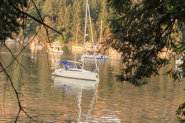 Picture Of: 2021 Bavaria Cruiser 34 Skal