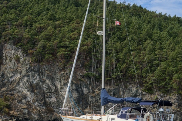 Picture Of: 1980 Tartan 37 Tourmaline