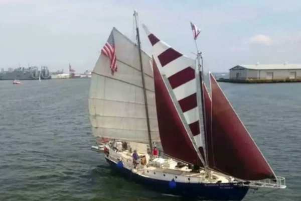 Picture Of: 1979 Colvin Gazelle Gazelle Summer Wind