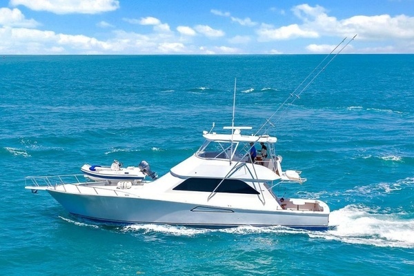 Picture Of: 1998 Viking  Betty Jacquet