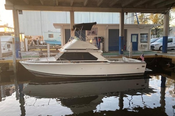 Picture Of: 1987 Bertram 28 Sport Fly Fish 