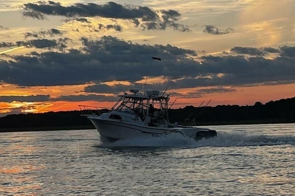 Picture Of: 1999 Grady-White Marlin The Dog House
