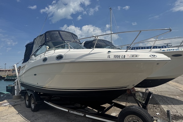 Picture Of: 2005 Sea Ray 260 Sundancer Rita
