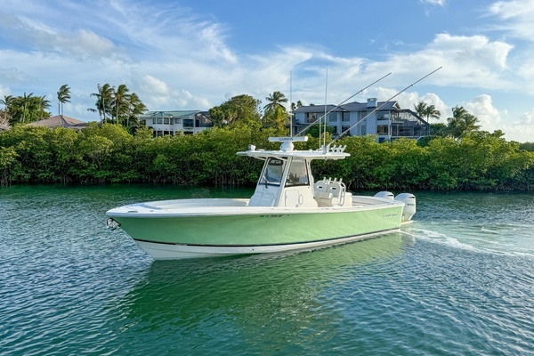 Picture Of: 2020 Regulator 31 Terrapin