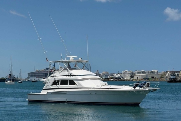 Picture Of: 1995 Bertram 60 Convertible Taniamar