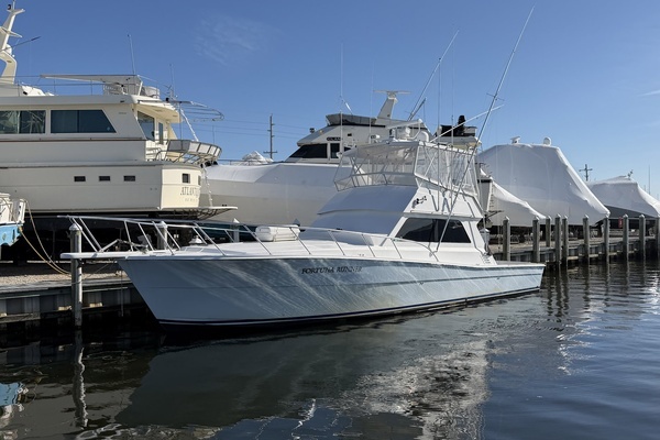 Picture Of: 1987 Viking 48 Convertible Sportfish Fortuna Runner