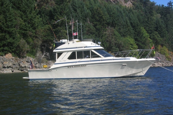 Picture Of: 1987 Chris-Craft 392 Commander LOVE IS
