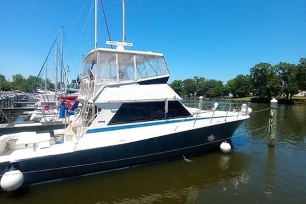 Picture Of: 1987 Viking Convertible 