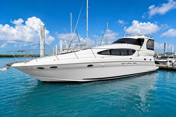 Picture Of: 2002 Sea Ray 480 Knot the End